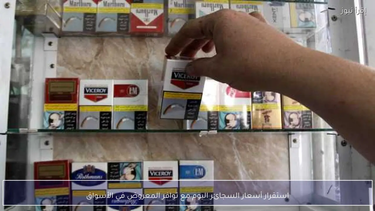 استقرار أسعار السجائر اليوم مع توافر المعروض في الأسواق