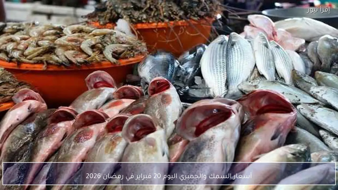 أسعار السمك والجمبري اليوم 20 فبراير في رمضان 2026