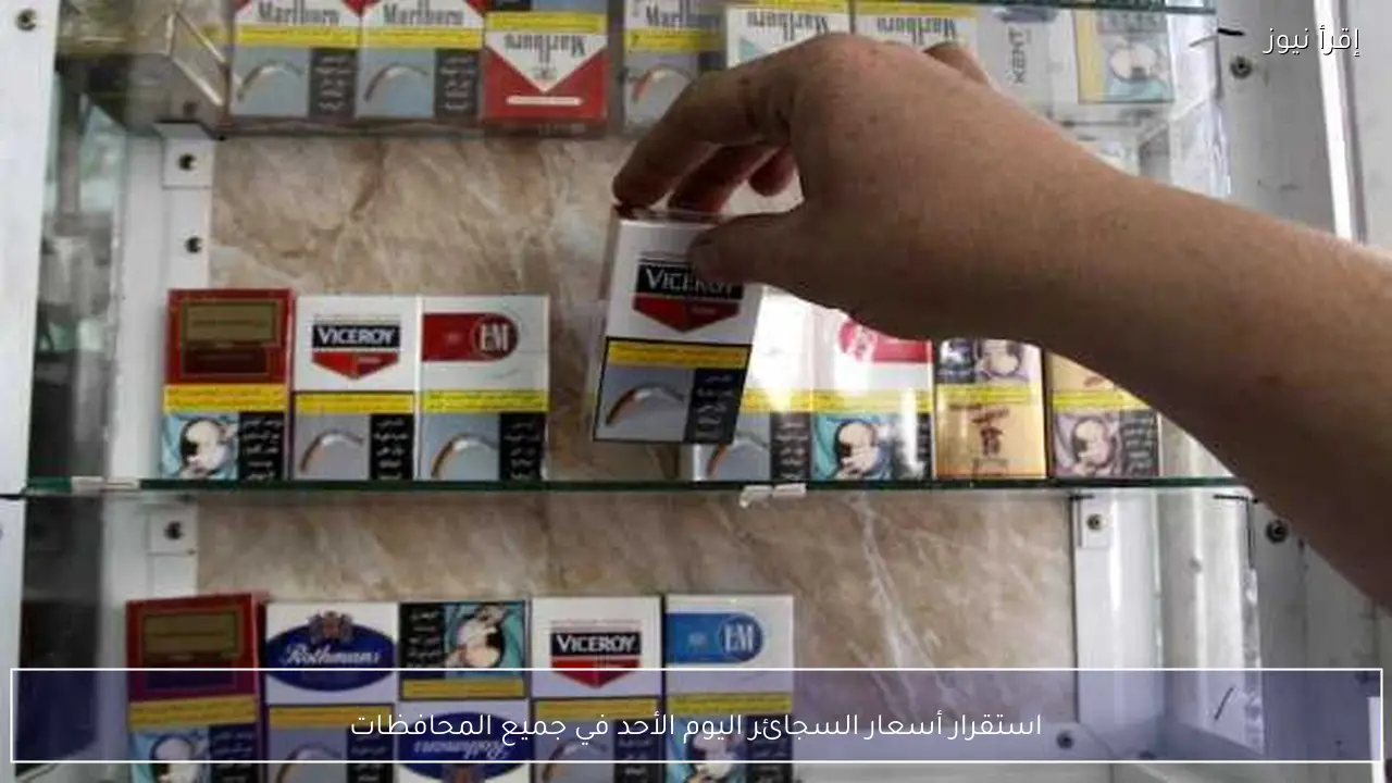 استقرار أسعار السجائر اليوم الأحد في جميع المحافظات