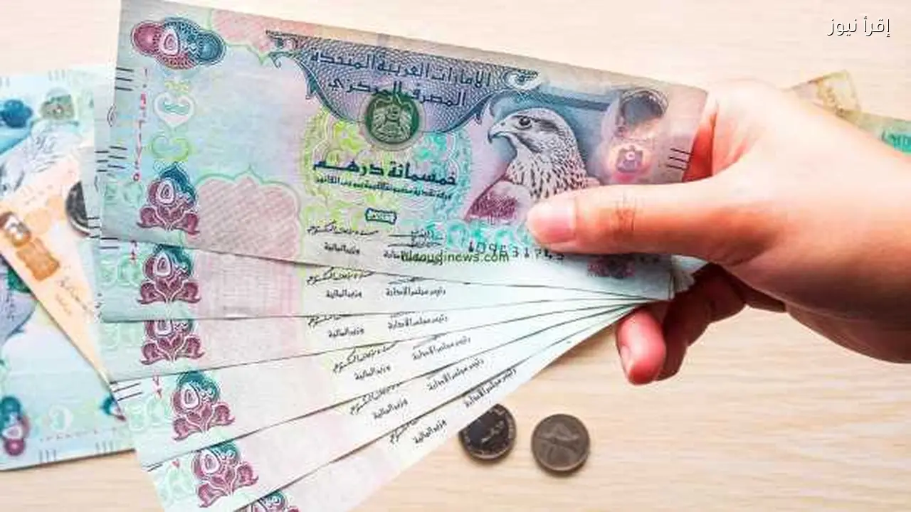 استقرار الدرهم الإماراتي مقابل الجنيه المصري اليوم 3 فبراير 2026