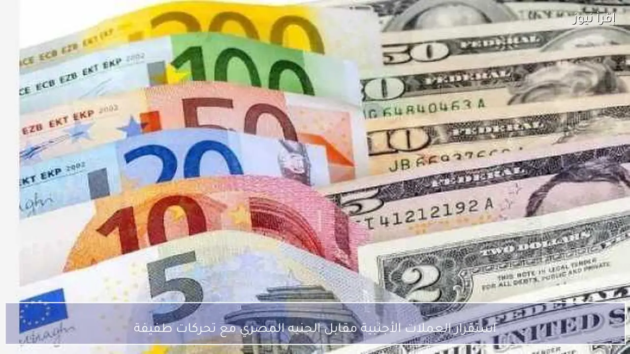 استقرار العملات الأجنبية مقابل الجنيه المصري مع تحركات طفيفة