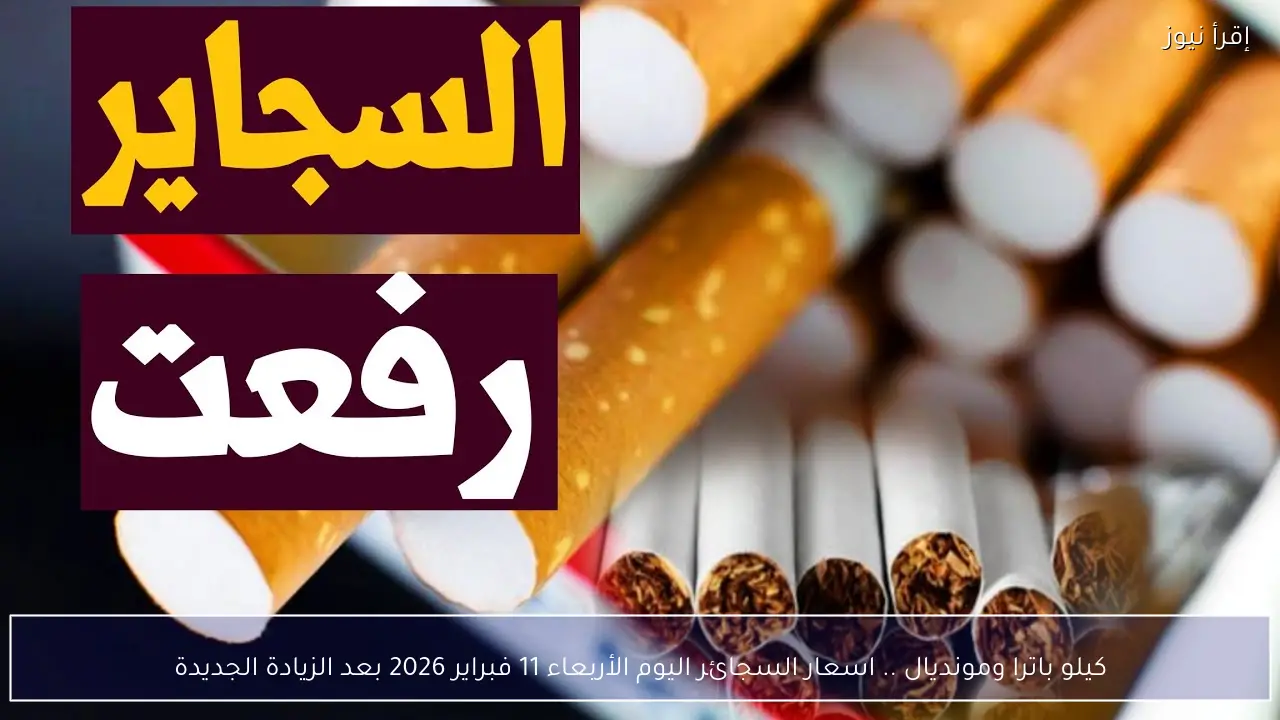 كيلو باترا ومونديال .. اسعار السجائر اليوم الأربعاء 11 فبراير 2026 بعد الزيادة الجديدة