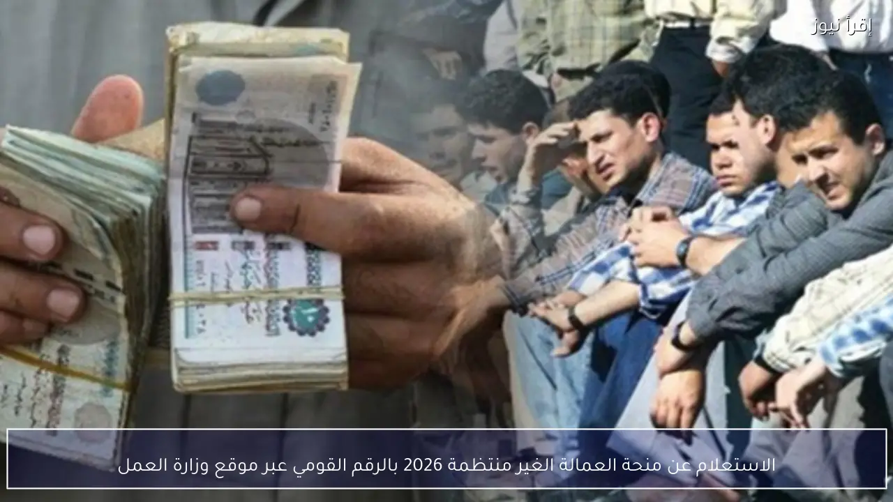الاستعلام عن منحة العمالة الغير منتظمة 2026 بالرقم القومي عبر موقع وزارة العمل