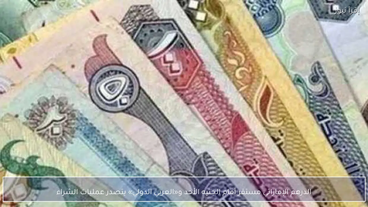 الدرهم الإماراتي مستقر أمام الجنيه الأحد و«العربي الدولي» يتصدر عمليات الشراء