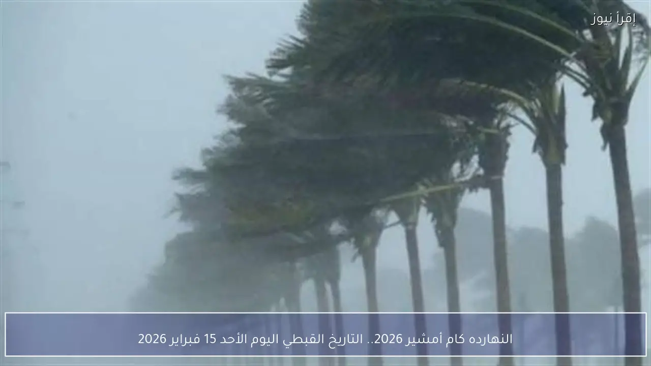 التقويم القبطي النهارده كام أمشير 2026 ؟؟ ورقة نتيجة اليوم الثلاثاء 10 فبراير