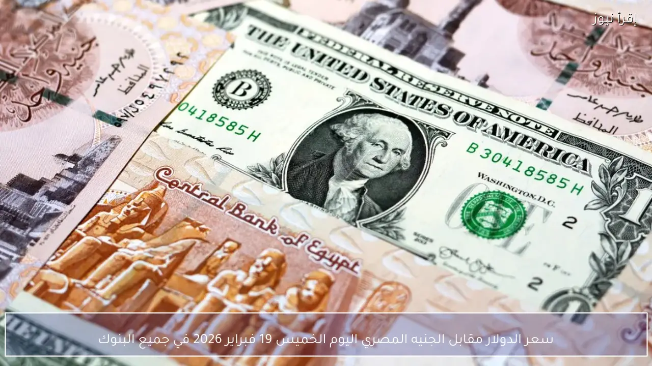 سعر الدولار مقابل الجنيه المصري اليوم الخميس 19 فبراير 2026 في جميع البنوك