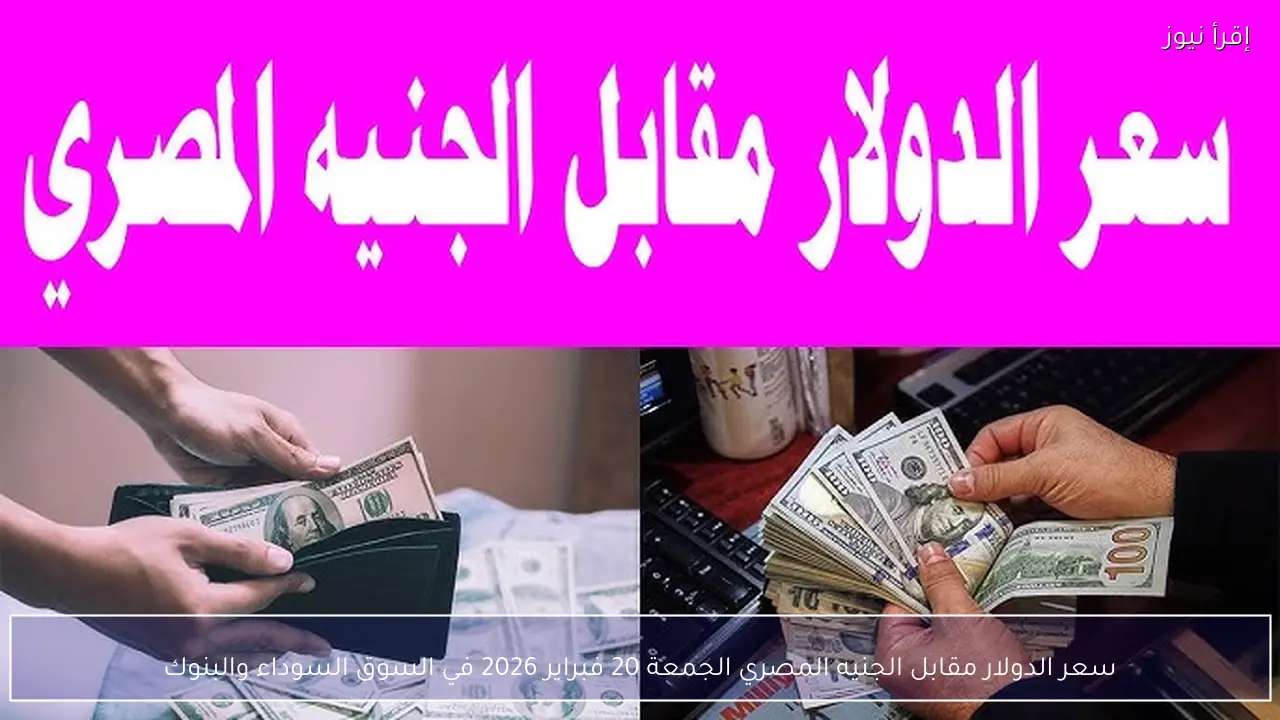 سعر الدولار مقابل الجنيه المصري اليوم الجمعة 20 فبراير 2026 في السوق السوداء والبنوك