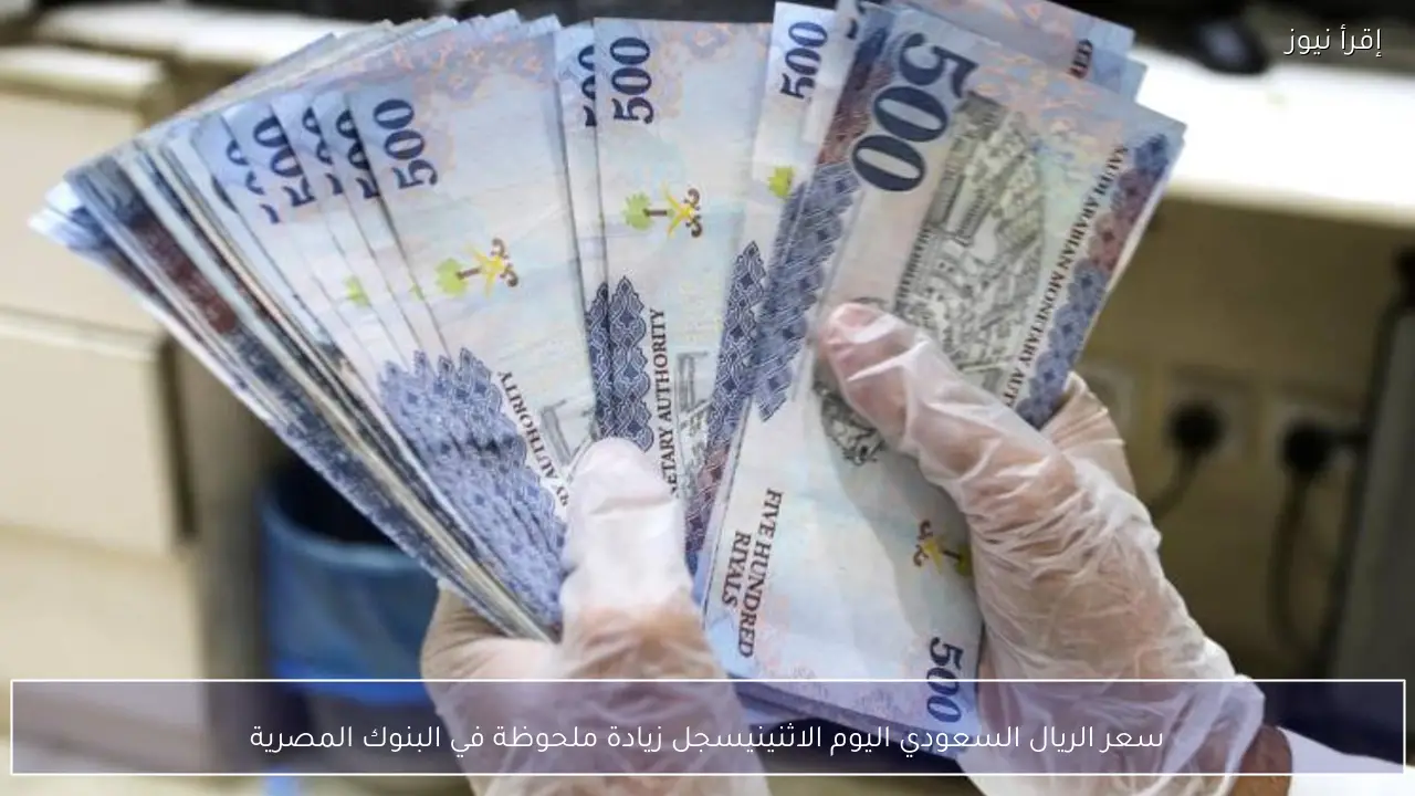 سعر الريال السعودي اليوم الاثنين 23 فبراير 2026 يسجل زيادة ملحوظة في البنوك المصرية