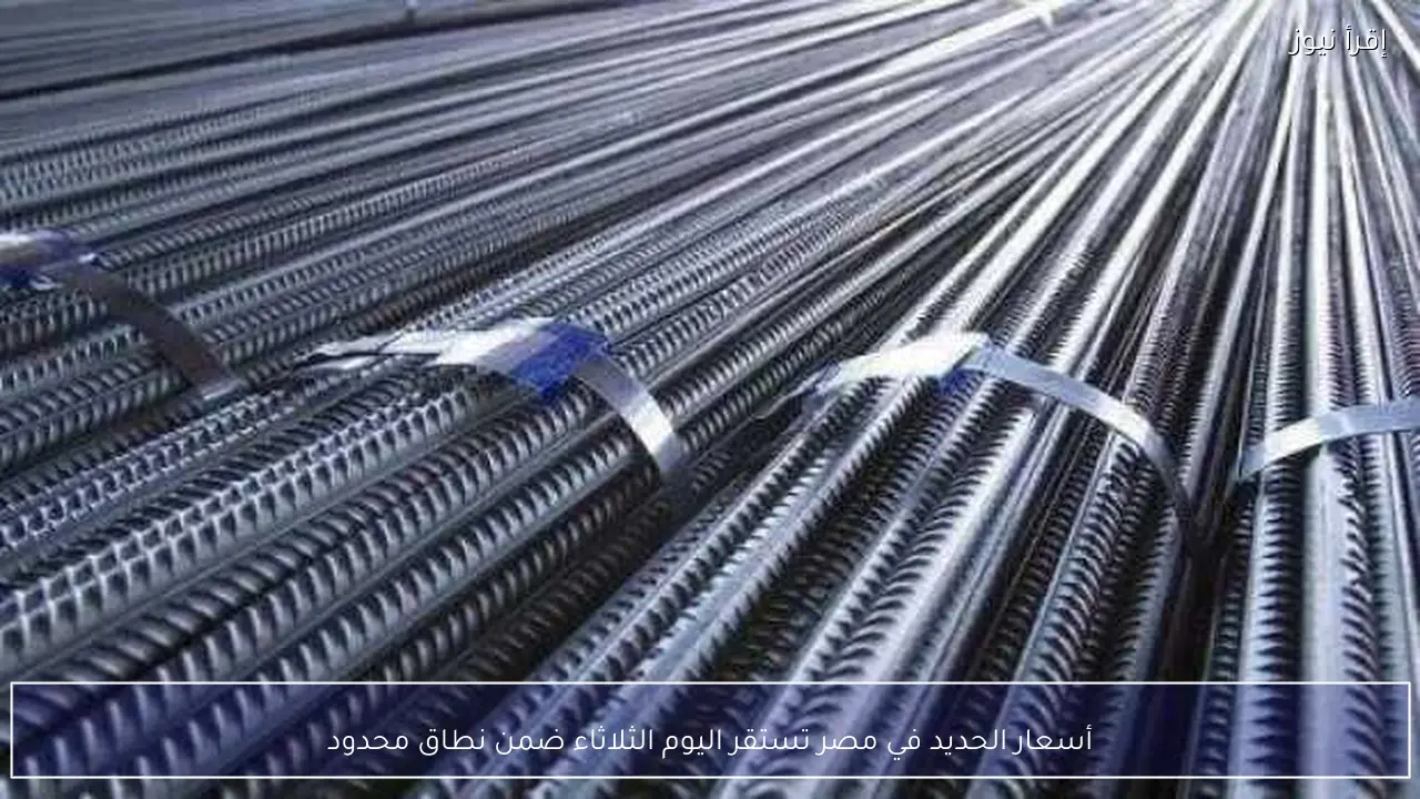 أسعار الحديد في مصر تستقر اليوم الثلاثاء ضمن نطاق محدود