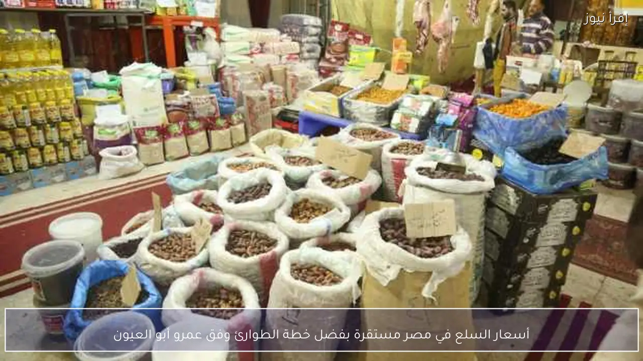 أسعار السلع في مصر مستقرة بفضل خطة الطوارئ وفق عمرو أبو العيون
