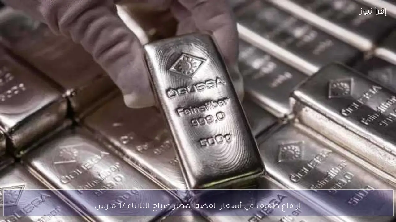 ارتفاع طفيف في أسعار الفضة بمصر صباح الثلاثاء 17 مارس