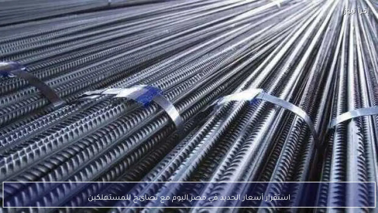 استقرار أسعار الحديد في مصر اليوم مع نصائح للمستهلكين