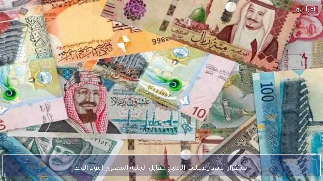 استقرار أسعار عملات الخليج مقابل الجنيه المصري اليوم الأحد