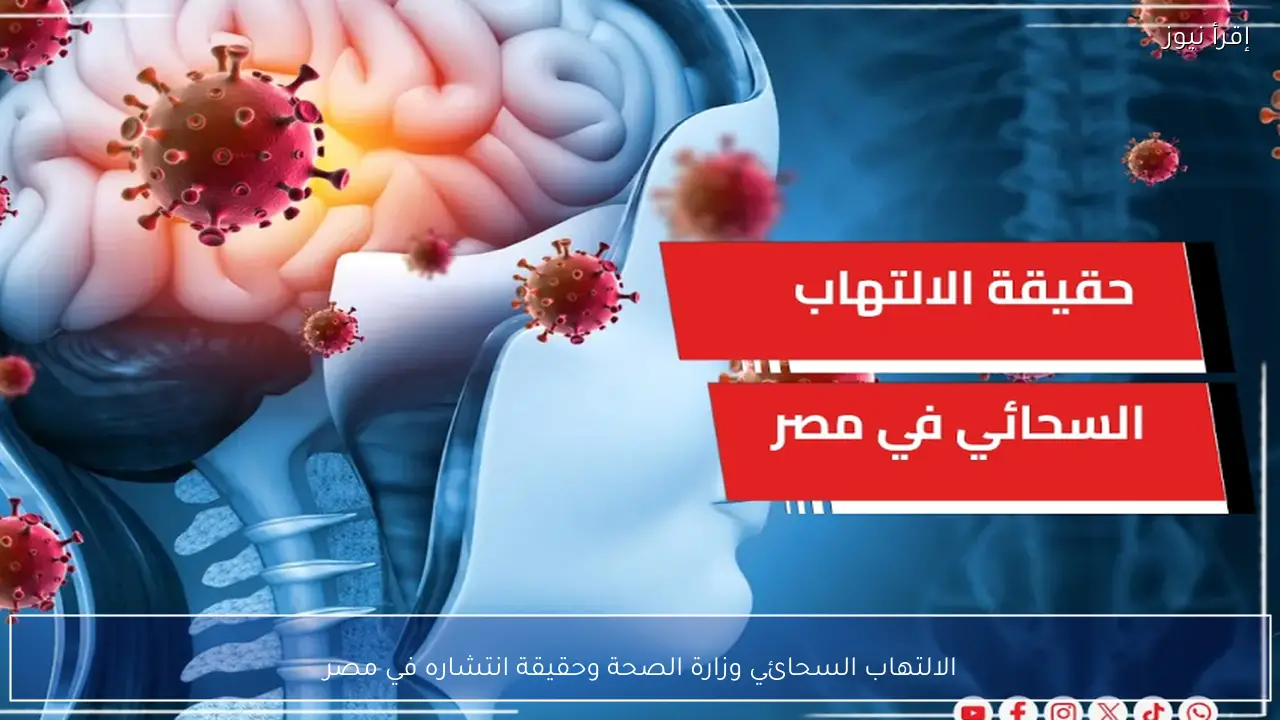 الالتهاب السحائي وزارة الصحة وحقيقة انتشاره في مصر