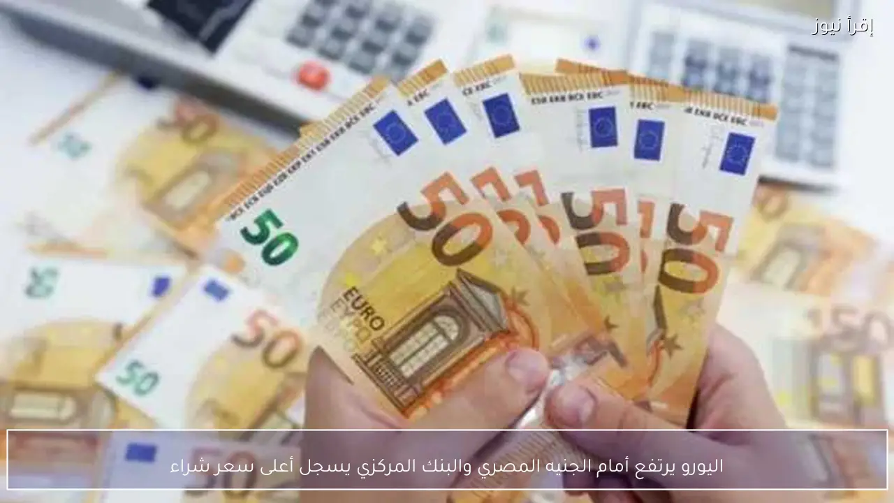 اليورو يرتفع أمام الجنيه المصري والبنك المركزي يسجل أعلى سعر شراء