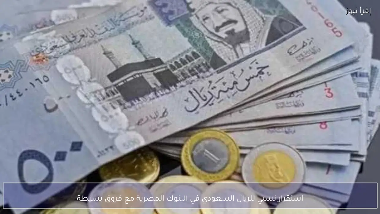 استقرار نسبي للريال السعودي في البنوك المصرية مع فروق بسيطة