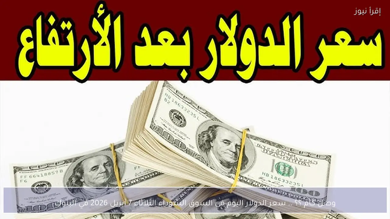 وصل كام ؟؟ .. سعر الدولار اليوم في السوق السوداء الثلاثاء 7 أبريل 2026 في البنوك