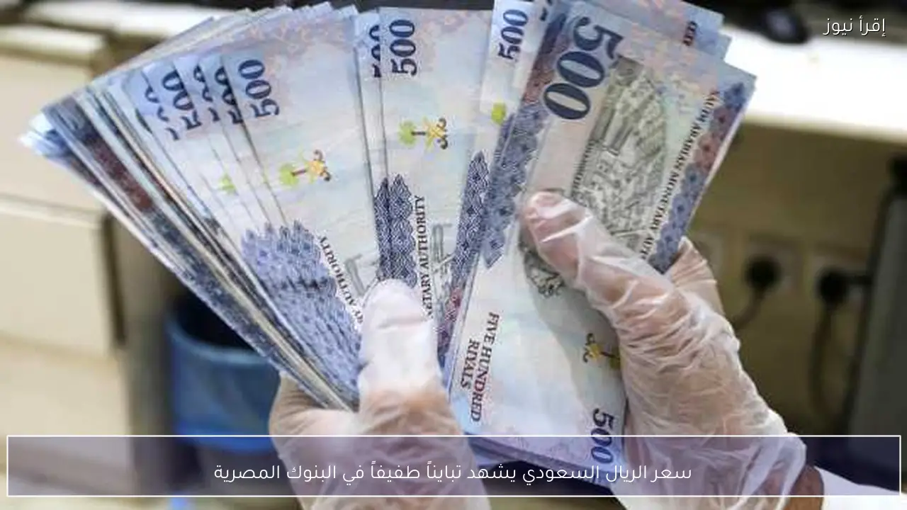 سعر الريال السعودي يشهد تبايناً طفيفاً في البنوك المصرية