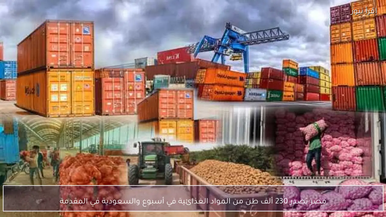 مصر تصدر 230 ألف طن من المواد الغذائية في أسبوع والسعودية في المقدمة