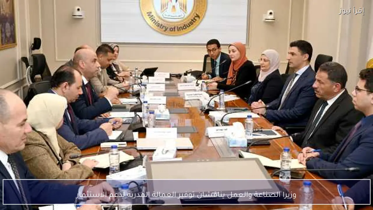 وزيرا الصناعة والعمل يناقشان توفير العمالة المدربة لدعم الاستثمار