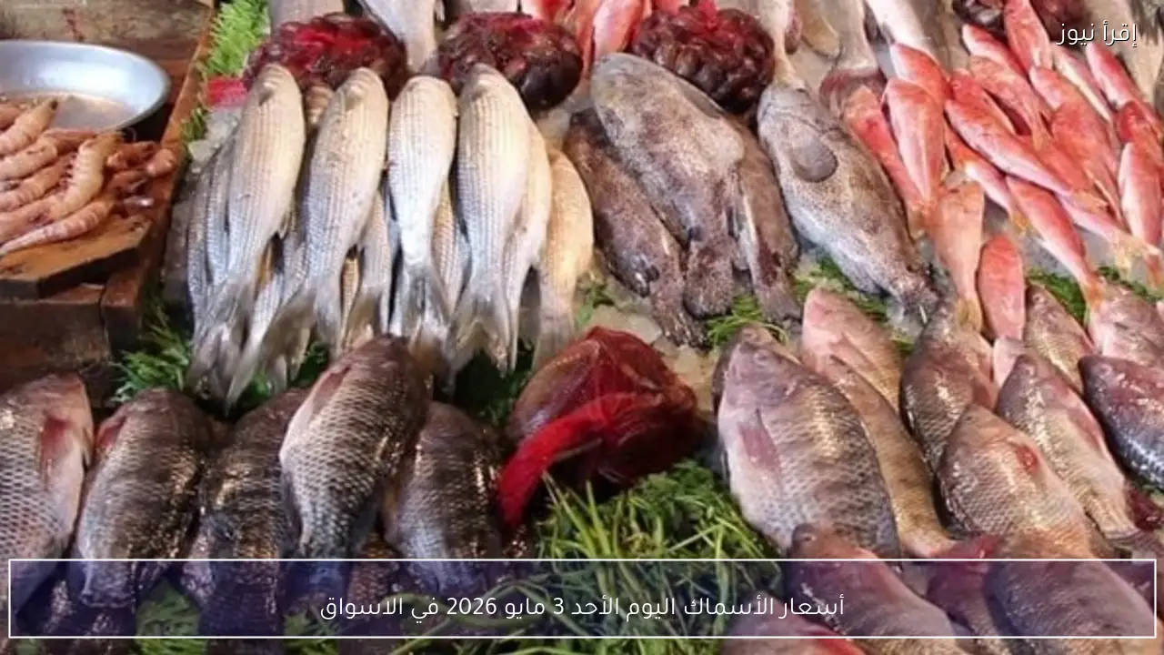 أسعار الأسماك اليوم الأحد 3 مايو 2026 في الاسواق