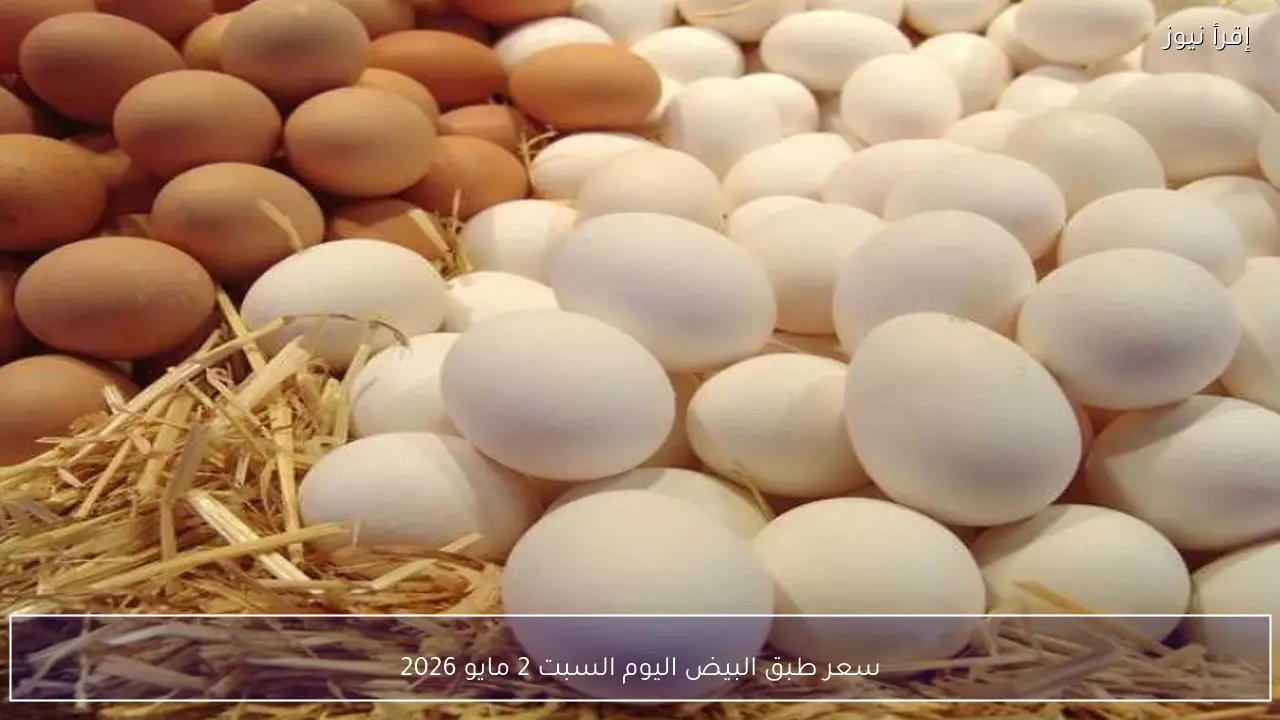 سعر طبق البيض اليوم السبت 2 مايو 2026 في الأسواق والمحلات التجارية