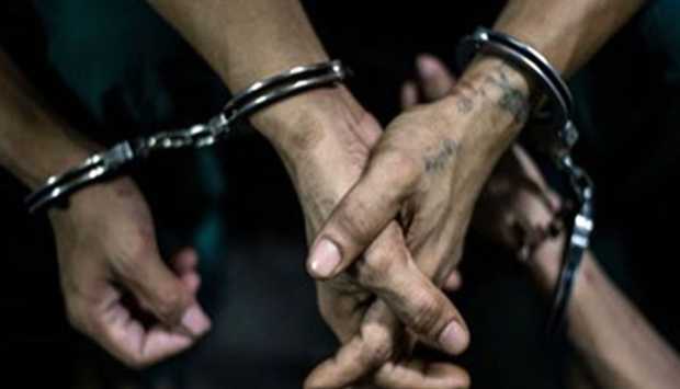 وزارة الداخلية تضبط 12 شخصًا في تشكيل عصابي لسرقة الدراجات النارية والتوك توك بالإسكندرية
