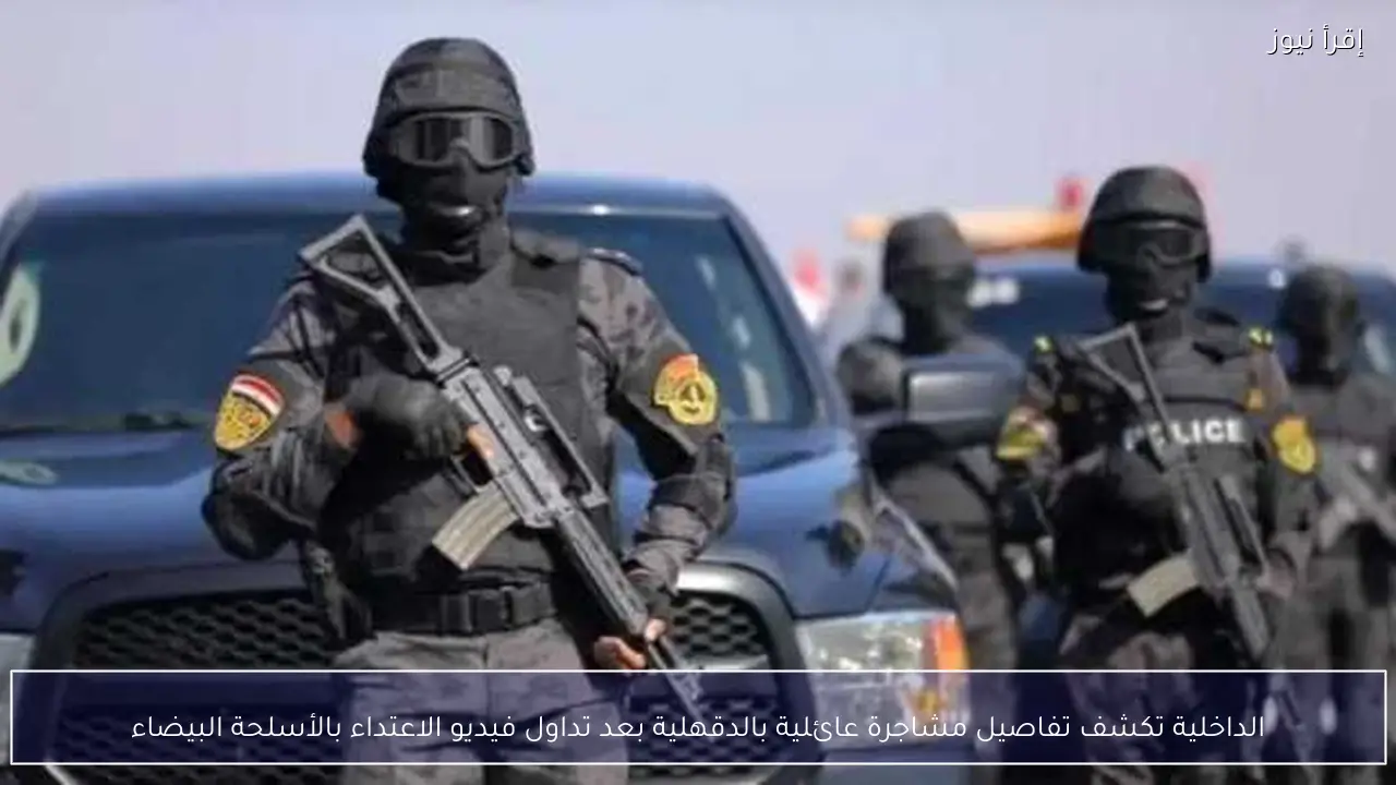 الداخلية تكشف تفاصيل مشاجرة عائلية بالدقهلية بعد تداول فيديو الاعتداء بالأسلحة البيضاء