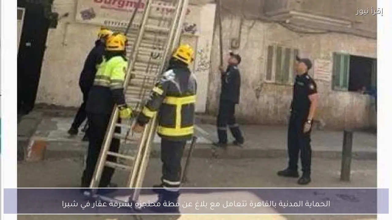 الحماية المدنية بالقاهرة تتعامل مع بلاغ عن قطة محتجزة بشرفة عقار في شبرا