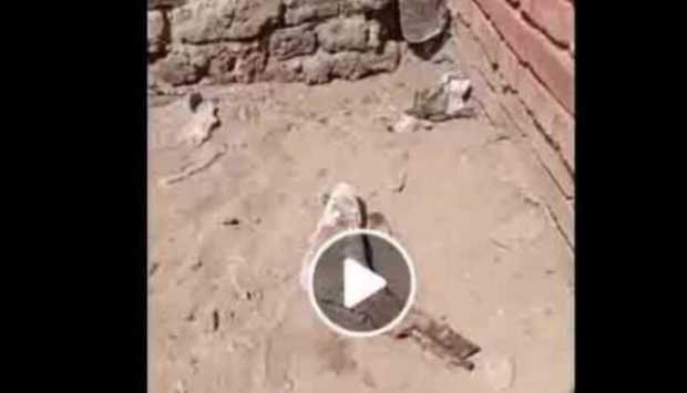 وزارة الداخلية تكشف تفاصيل العثور على جزء من قدم بشرية بجوار مقابر بالدقهلية