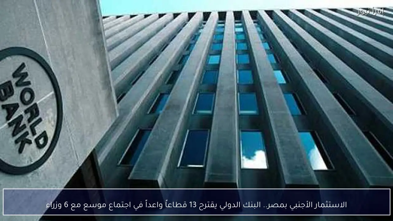 الاستثمار الأجنبي بمصر.. البنك الدولي يقترح 13 قطاعاً واعداً في اجتماع موسع مع 6 وزراء