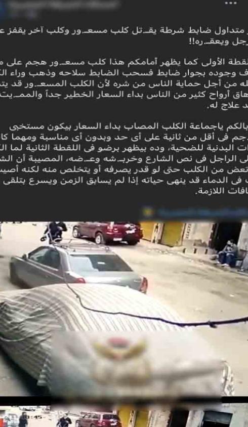 الواقعة