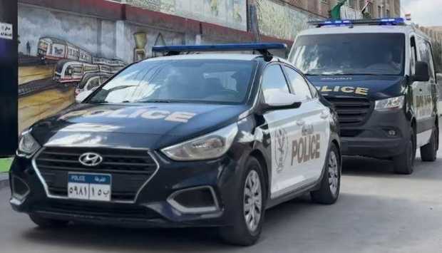 الأمن في كفر الشيخ يضبط المتورط في تعذيب هرة بعد تداول فيديو مؤلم
