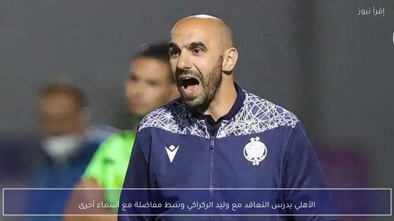 الأهلي يدرس التعاقد مع وليد الركراكي وسط مفاضلة مع أسماء أخرى
