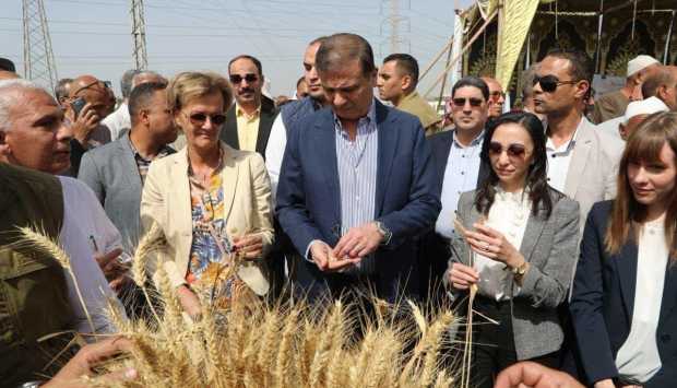 وزير الزراعة: مشروعات الدلتا الجديدة وتوشكى قادت طفرة استصلاح الأراضي خلال 12 عاماً