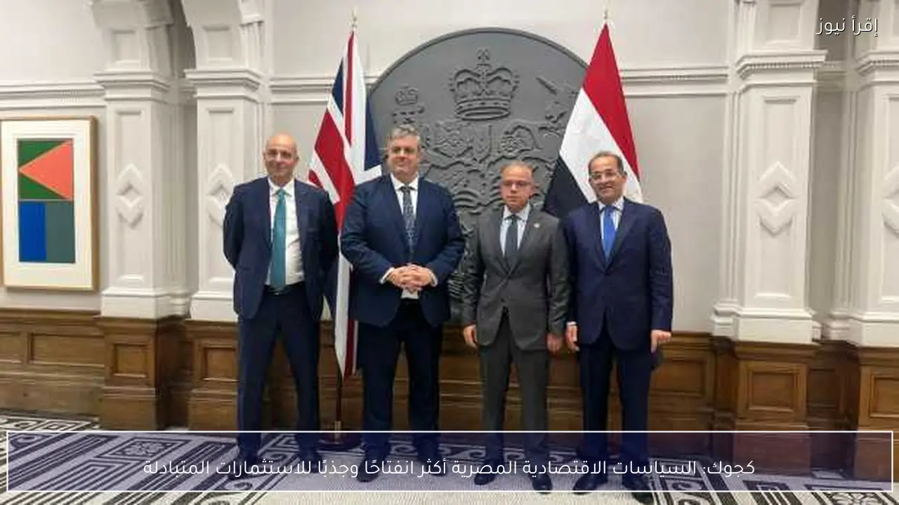 كجوك: السياسات الاقتصادية المصرية أكثر انفتاحًا وجذبًا للاستثمارات المتبادلة